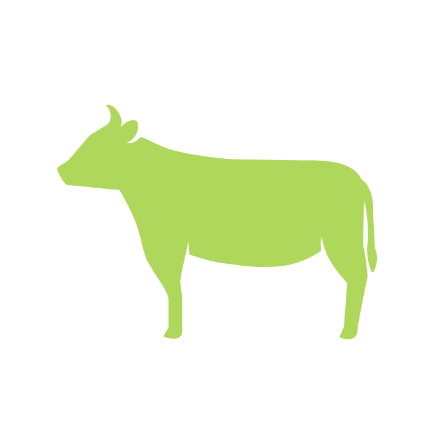 Livestock (Japanese beef) business