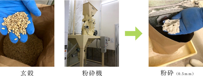 Dry food manufacturing process 1-1