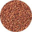 
red rice